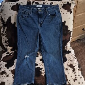 Lane Bryant Dark Blue Cropped Jeans